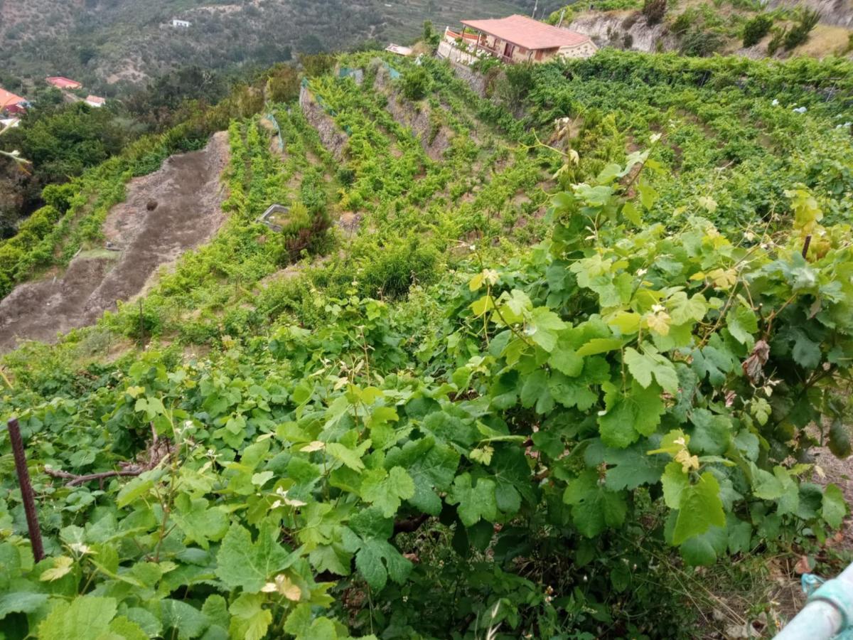 Casa Rural Quilla Agulo ภายนอก รูปภาพ