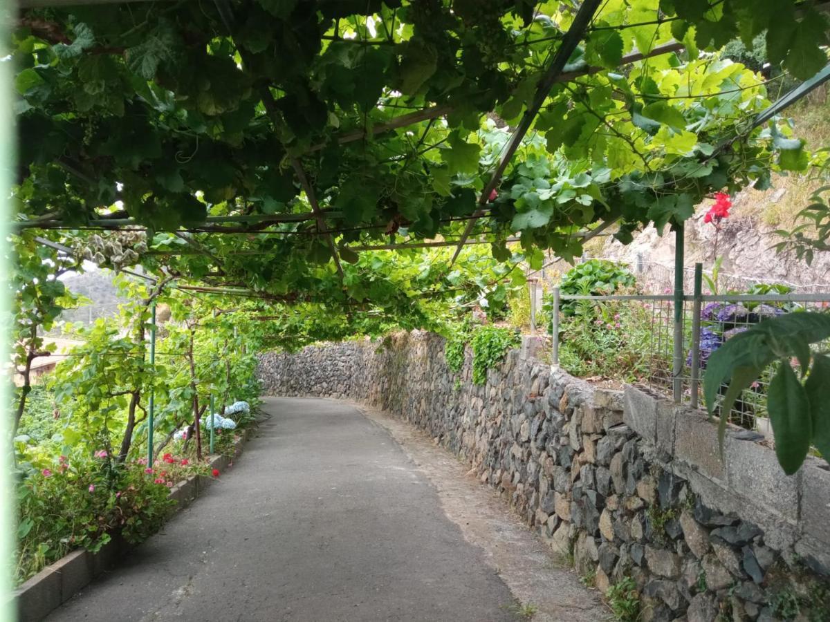 Casa Rural Quilla Agulo ภายนอก รูปภาพ