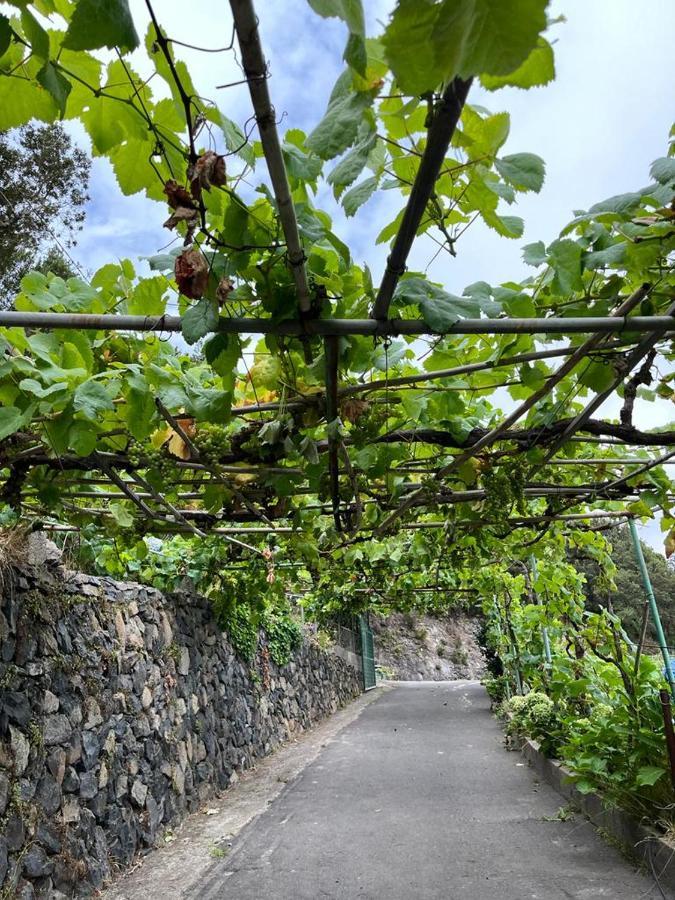 Casa Rural Quilla Agulo ภายนอก รูปภาพ